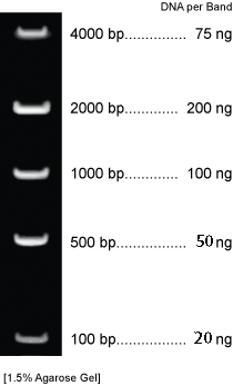 DNA Mass Marker